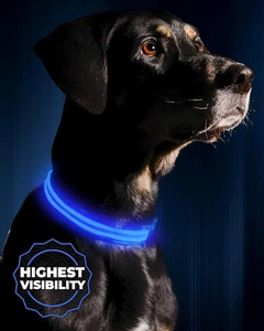 Без бренду LED нашийник для собак Illumiseen перезаряджається через USB (синій, L, 49 см)