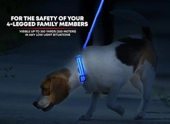 Без бренду LED нашийник для собак Illumiseen перезаряджається через USB (синій, L, 49 см)