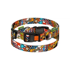 Hi Dog Нашийник для собаки HiDOG Europe L 25мм 35-55см (104/1039)