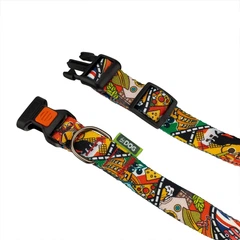 Hi Dog Нашийник для собаки HiDOG Europe L 25мм 35-55см (104/1039)