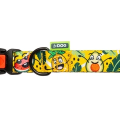 Hi Dog Нашийник для собаки HiDOG Crazy yellow fruits L 25мм 35-55см (104/1057)