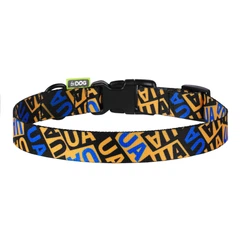 Hi Dog Нашийник для собаки HiDOG Молодіжний XS 10мм 18-28см (106/1036)