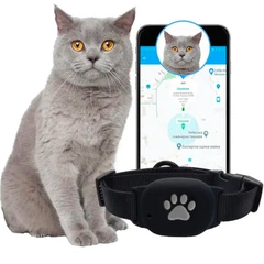 GPS нашийник для котів та кішок 2024 MYOX MPT 60-CB (чорний) Висока точність