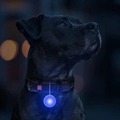 RGB ліхтарик WAUDOG LED DOG LIGHT для собак та котів