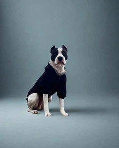 Одяг для собак Худі "LEKS BIG BLACK". SKU 00751. Розмір 2XL. Your Stylish Hunter. Худі для собак середніх порід.