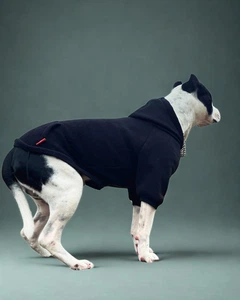 Одяг для собак Худі "LEKS BIG BLACK". SKU 00751. Розмір 2XL. Your Stylish Hunter. Худі для собак середніх порід.