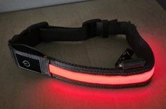 LED нашийник Zoofari для собак середніх порід Розмір M 47-55см, USB-C