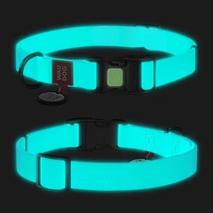 Нашийник що світиться для малих порід собак світлонакопичувальний WAUDOG Waterproof S, 25–35 см, ширина 15 мм, Collartex, пластикова пряжка-фастекс, з QR-паспортом, ментоловий — арт. 2744