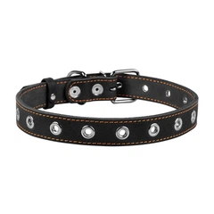 Нашийник Collar безрозмірний 25 мм х 60 см Чорний (02441 Col)