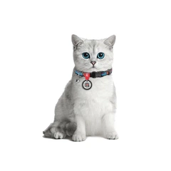 Нашийник для котів нейлоновий WAUDOG Nylon Smart ID, дизайн «Літо», з QR-паспортом, пластиковий фастекс, XS (ширина 10 мм, довжина 20–30 см) — арт. 5267