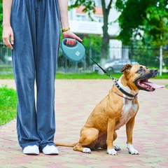 Повідець-рулетка для собак WAUDOG R-leash з контейнером для пакетів, світловідбивна стрічка, блакитний, розмір S, до 12 кг, 3 м (26272)