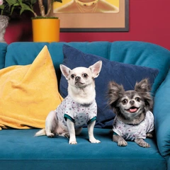 Футболка Pet Fashion Flora для собак бавовна трикотаж біла з квітковим принтом ХХS