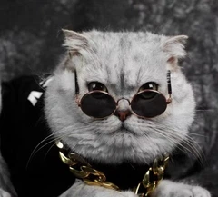 Окуляри для собак Pet Style 8 см Рожеві