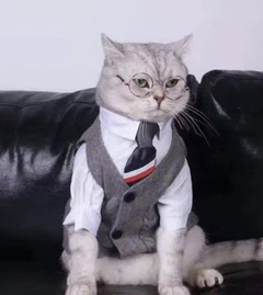 Окуляри для собак Pet Style 8 см Рожеві