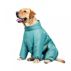 Комбінезон Pet Fashion Cold для такси бірюза M