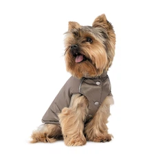 Pet Fashion Жилет Hardy М для собак