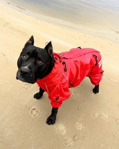 Одяг для собак дощовик “HUNTER D RED”. SKU 004377. Розмір 2XS. Your Stylish Hunter. Комбінезон дощовик для собак середніх та великих порід, від спаніелю та корги до вівчарки та алабаю.