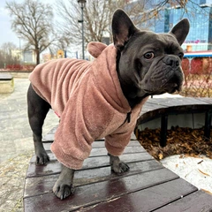 Одяг для собак "Teddy Sweatshirt FRB" . SKU 004537. Розмір S. Your Stylish Hunter. Худі для собак для французського бульдога, мопса, спанієля, та інших.