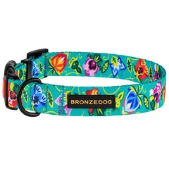 Нашийник Для Собак BronzeDog Urban Folk нейлоновий з пластикової пряжкою Ментоловий 25 мм 35-45 см (52/1417)