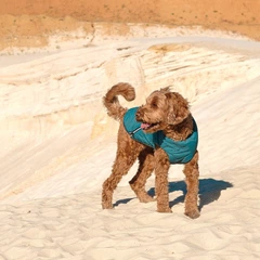 Жилет Pet Fashion E.Vest для собак морська хвиля XS