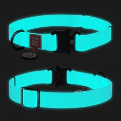 Нашийник для собак середніх порід WAUDOG Waterproof, ментоловий, світлонакопичувальний (світиться в темряві) Collartex, QR-паспорт, металева пряжка-фастекс, ширина 20 мм, довжина 28–40 см, розмір M, а