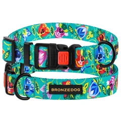 Нашийник Для Собак BronzeDog Urban Folk нейлоновий з пластикової пряжкою Ментоловий 20 мм 30-40 см (51/1417)