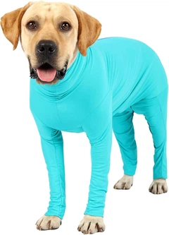Комбінезон для відновлення собак Derby Pet Recovery Suite, Turquoise, S