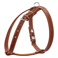 Шлея для малих порід собак шкіряна плоска COLLAR, розмір S, коричнева, регульована, світловідбивні шви, 14 мм, A:40–48 см, B:43–51 см — арт. 06346