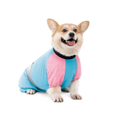 Комбінезон для собак малих порід Pet Fashion Milly для дівчаток, S