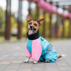 Комбінезон для собак малих порід Pet Fashion Milly для дівчаток, S