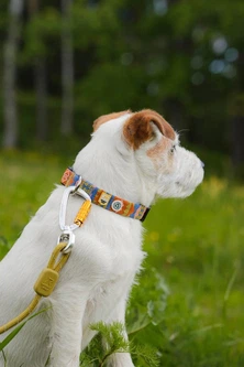 Повідець Woolly Wolf, Rope Leash Pistachio 180 см 8 мм