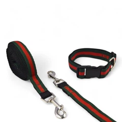 Без бренда Повідець для собак Pet & Co Gucci Д 1,2 м Ш 25 мм зелено-червоний