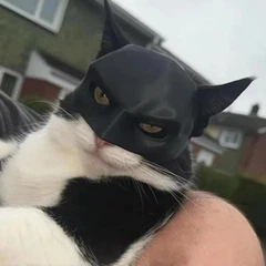 Без бренду Маска для кота (бетмен)