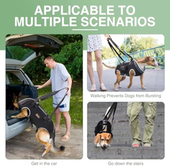 Шлейка для підтримки собак Wan Talk Full Body Dog Lift, Medium