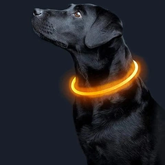 Світлодіодний LED нашийник Lesko L-18 Yellow M USB водовідштовхувальний, що світиться, для собак і котів