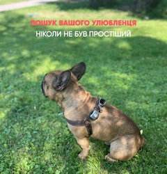 Cargo GPS нашийник для собак, котів та тварин (трекер нашийник) KitPes 2