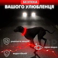 Без бренду Світлодіодний, водостійкий LED нашийник для собак із зарядкою USB, 35 см, розмір S (червоний)