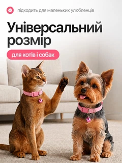Без бренда Нашийник для котів і собак з дзвіночком, регульований 19–31 см, нейлоновий, для малих порід, з кріпленням для повідка (світло рожевий)