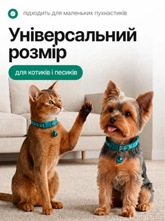 Без бренда Нашийник для котів і собак з дзвіночком, регульований 19–31 см, нейлоновий, для малих порід, з кріпленням для повідка (темно зелений)