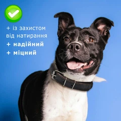 Villini Нашийник для собак шкіряний ошийник, розмір М середній, 59 см х 2.5 см, обхват 32-47 см, натуральна шкіра, коричневий