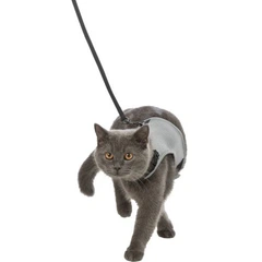 Шлейка з повідцем для кішок Trixie Xcat 24-42см нейлонова