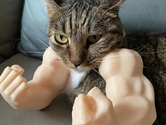 Без бренда Аксесуар Для Кота Cat Biceps 3D Білий 15 См 3Д Друк