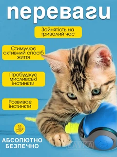 Іграшка м'ячик для кота інтерактивні іграшки для кішок котів кошеня розумний м'яч Lavka 2 режиму синій 2703254202