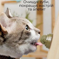 Без бренда Ласощі