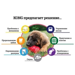Іграшка-конг Kong Puppy для цуценят S