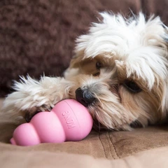 Іграшка-конг Kong Puppy для цуценят S