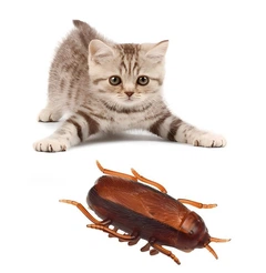 Без бренду Інтерактивна іграшка для котів тарган що рухається Cockroach