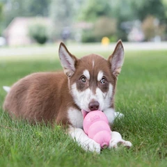 Іграшка Kong Puppy груша-годівниця для цуценят середніх і великих порід, L