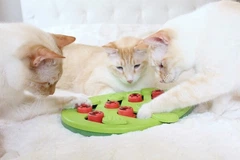 Outward Hound Іграшка інтерактивна для котів OutwardHound Nina Ottosson Buggin Out Puzzle & Play