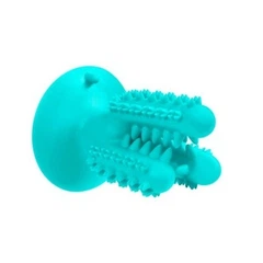Іграшка для Собак Bronzedog PetFun Dental КАКТУС